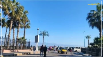 33 درجة بالقاهرة.. انخفاض ملموس بالحرارة على أغلب الأنحاء اليوم 1